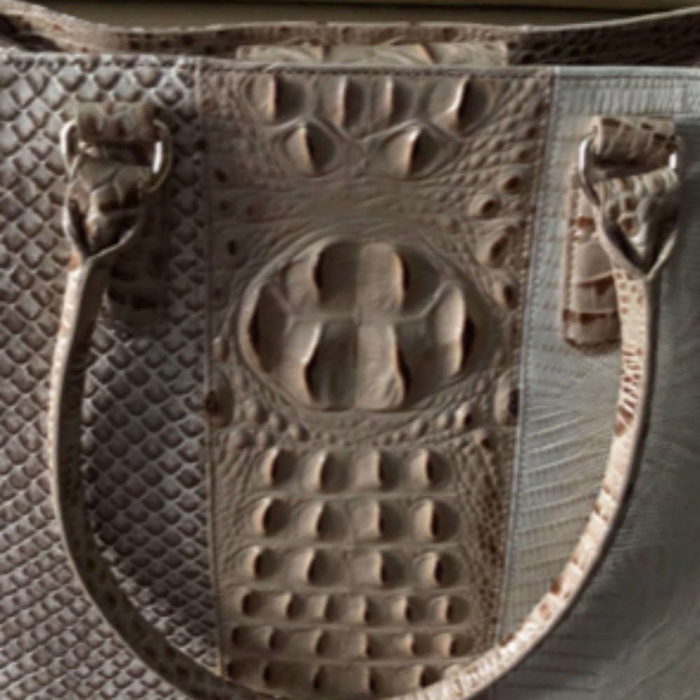 Brahmin Sahara Joan Tote